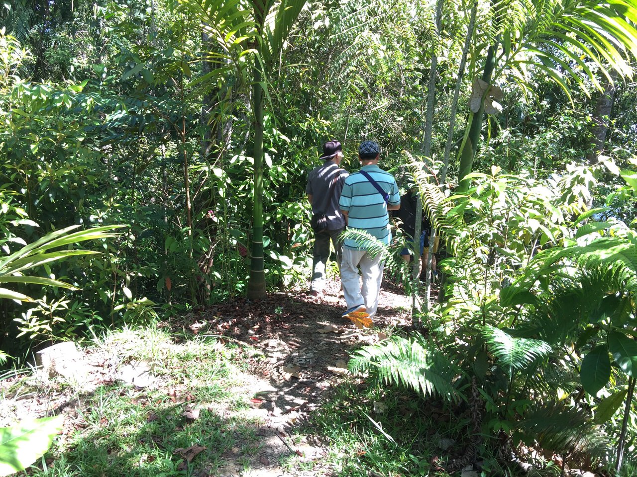 Kipandi Butterfly Park 4576