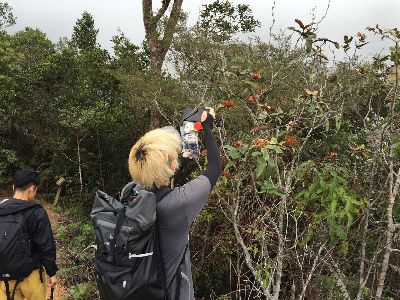 Kota Kinabalu climbing 3998