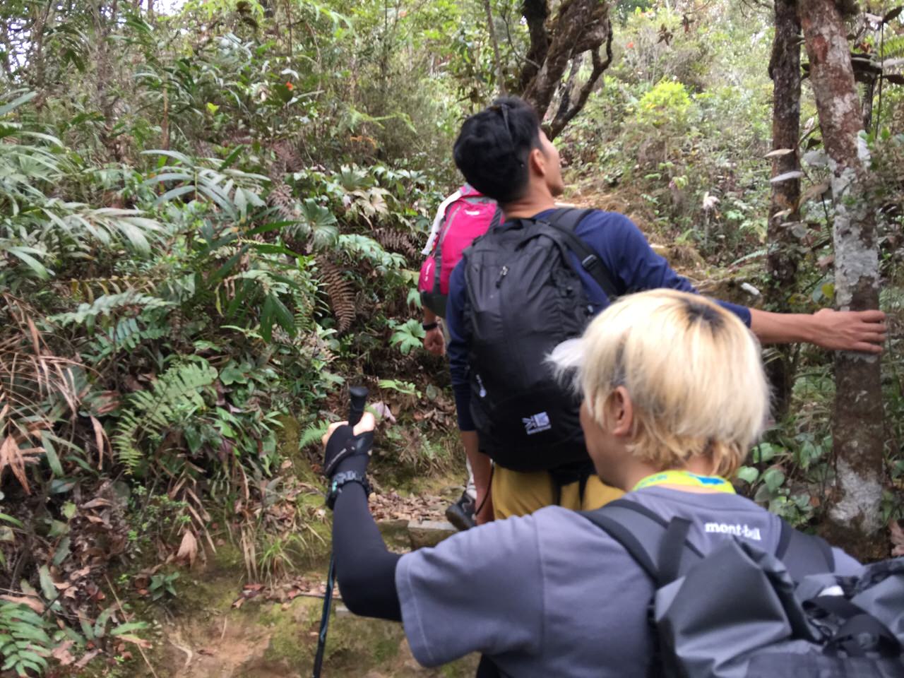 Kota Kinabalu climbing 4003