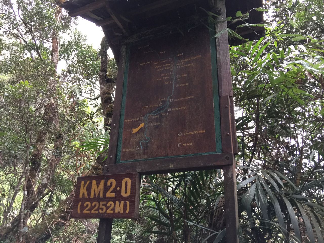 Kota Kinabalu climbing 4004