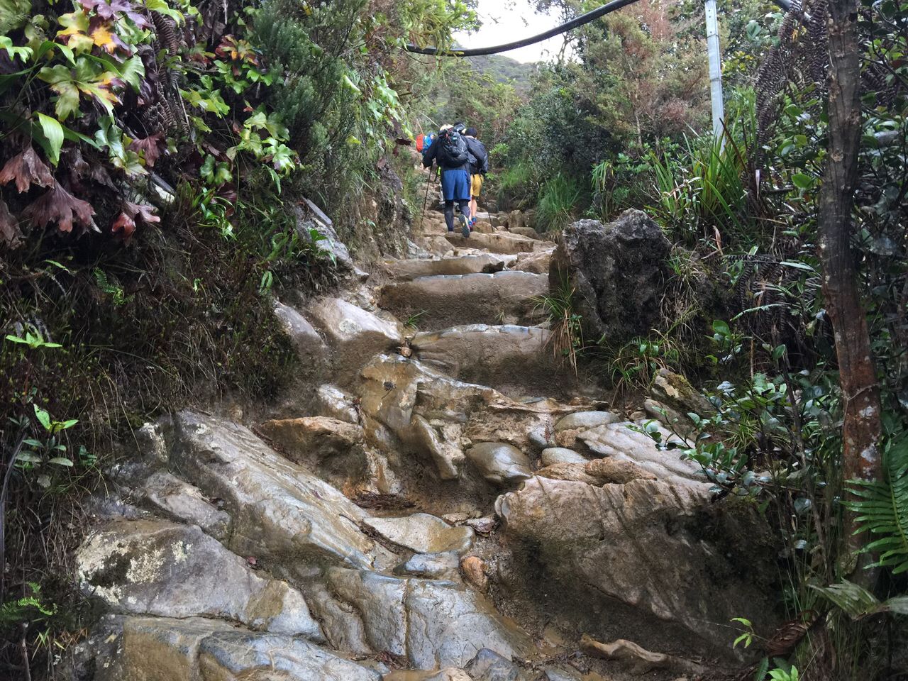 Kota Kinabalu climbing 4051