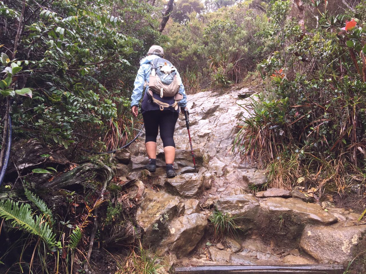 Kota Kinabalu climbing 4076