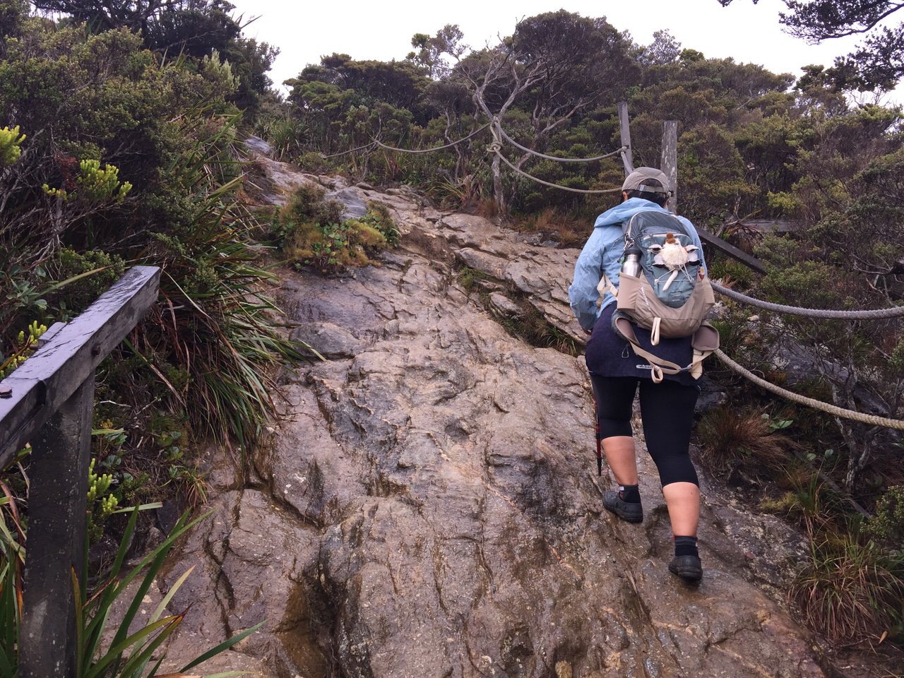 Kota Kinabalu climbing 4078