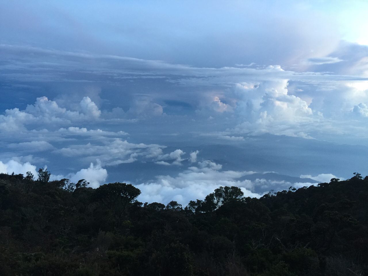 Kota Kinabalu climbing 4115