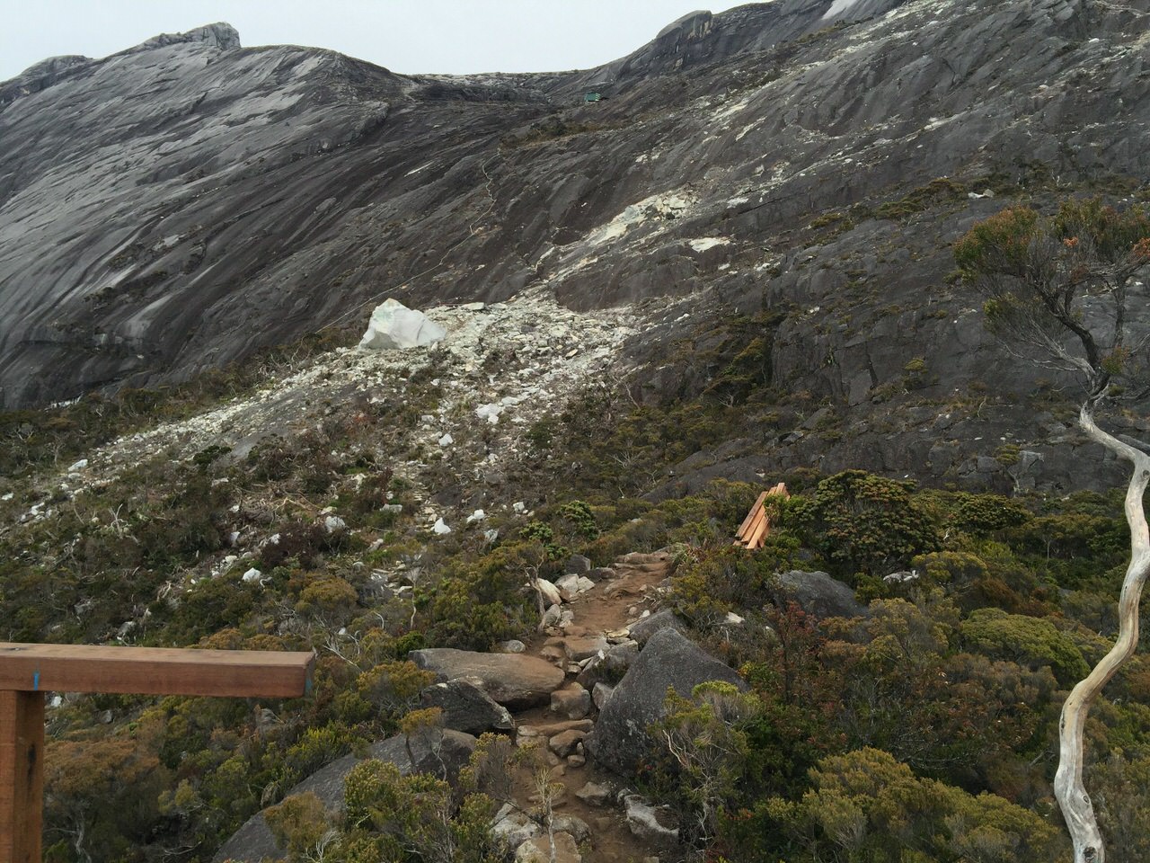 Kota Kinabalu climbing 4189