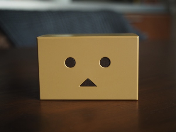 Danbo 0520