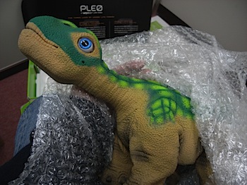 pleo_824_R0013240.JPG