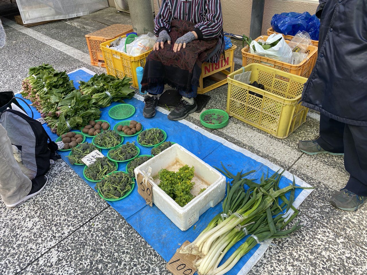 日本三大朝市の一つ「勝浦朝市」2