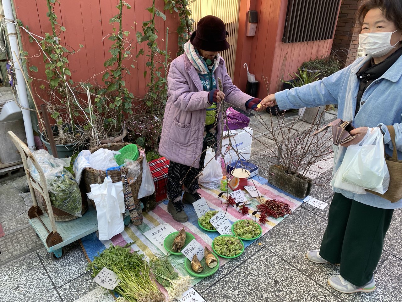 日本三大朝市の一つ「勝浦朝市」3