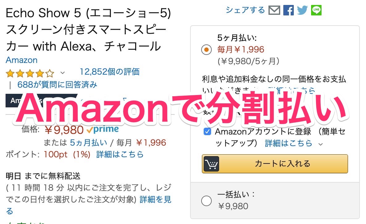 いつの間にかAmazonの分割払い「Amazon月払い」が始まっていた