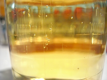 suntory_water_2008324_R0013879.JPG