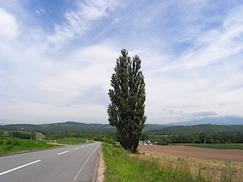 furano_20080708_630.JPG