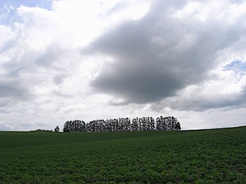 furano_20080708_643.JPG