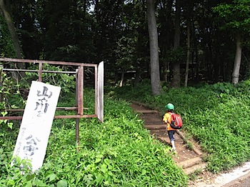 hiwada_20080619_408.JPG