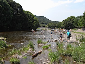 hiwada_20080619_456.JPG