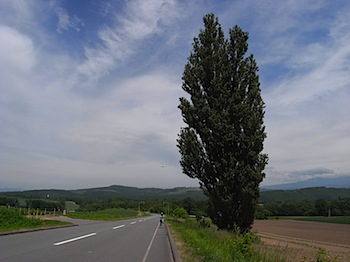 hokkaido_R0015633.JPG