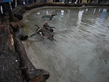 nasu_travel_081118168.JPG