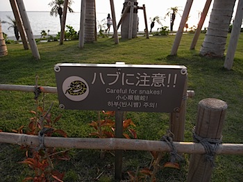 okinawa_03309301.JPG