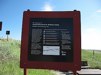 buffalo_jump_6516.JPG