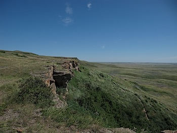 buffalo_jump_6539.JPG