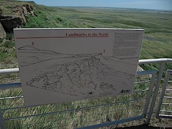 buffalo_jump_6541.JPG