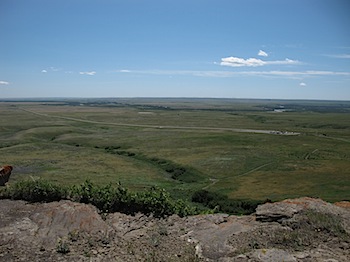 buffalo_jump_6544.JPG