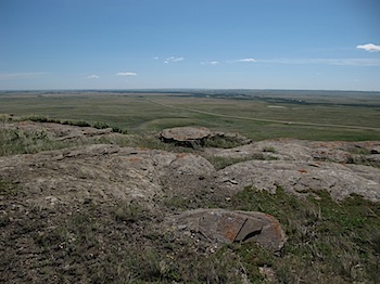 buffalo_jump_6546.JPG