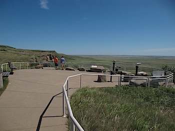 buffalo_jump_6548.JPG