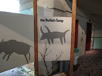 buffalo_jump_6556.JPG