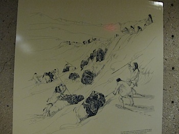 buffalo_jump_6570.JPG