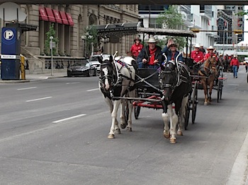 calgary_stampede_6668.JPG