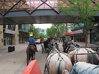 calgary_stampede_6680.JPG