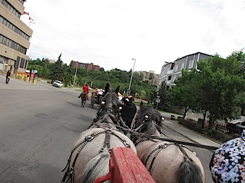 calgary_stampede_6689.JPG