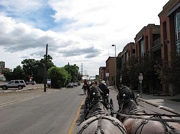 calgary_stampede_6700.JPG