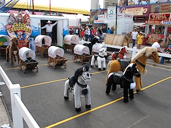 calgary_stampede_6979.JPG