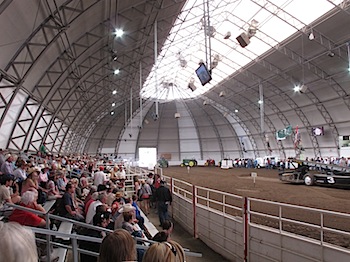 calgary_stampede_7011.JPG