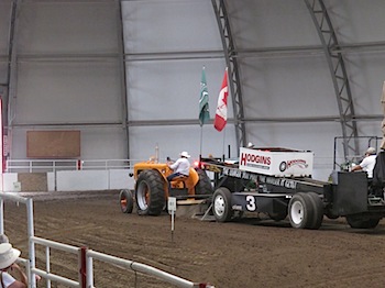 calgary_stampede_7016.JPG