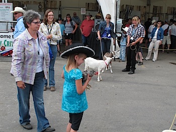 calgary_stampede_7021.JPG