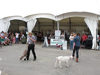 calgary_stampede_7022.JPG