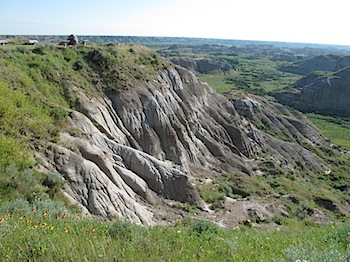 dinosaur_provincial_park_6149.JPG