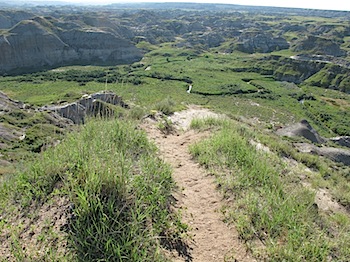 dinosaur_provincial_park_6150.JPG