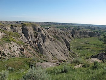 dinosaur_provincial_park_6156.JPG