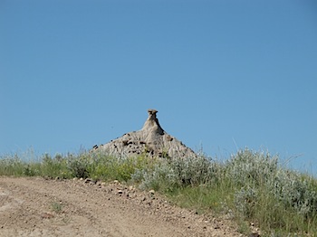 dinosaur_provincial_park_6252.JPG