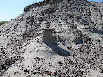 dinosaur_provincial_park_6254.JPG