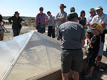 dinosaur_provincial_park_6268.JPG