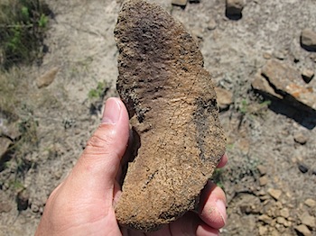 dinosaur_provincial_park_6282.JPG