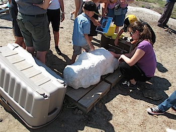 dinosaur_provincial_park_6285.JPG