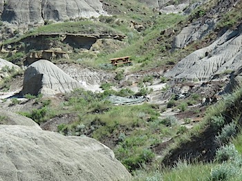 dinosaur_provincial_park_6289.JPG