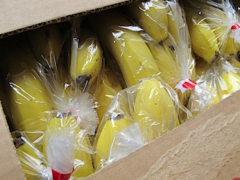 dole_banana_030793.JPG