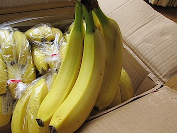 dole_banana_030798.JPG